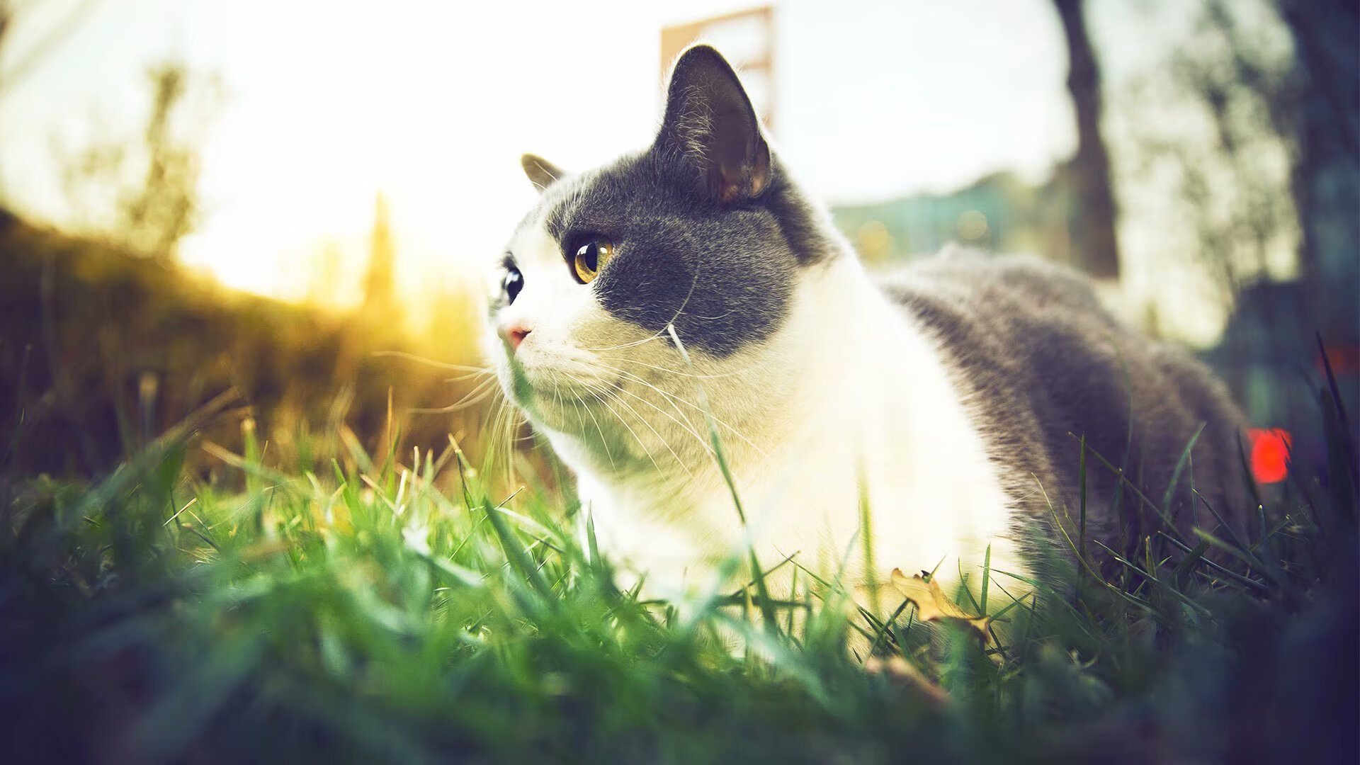 开云·体育全站登录地址-出发反应平均值：美国最具爆发力