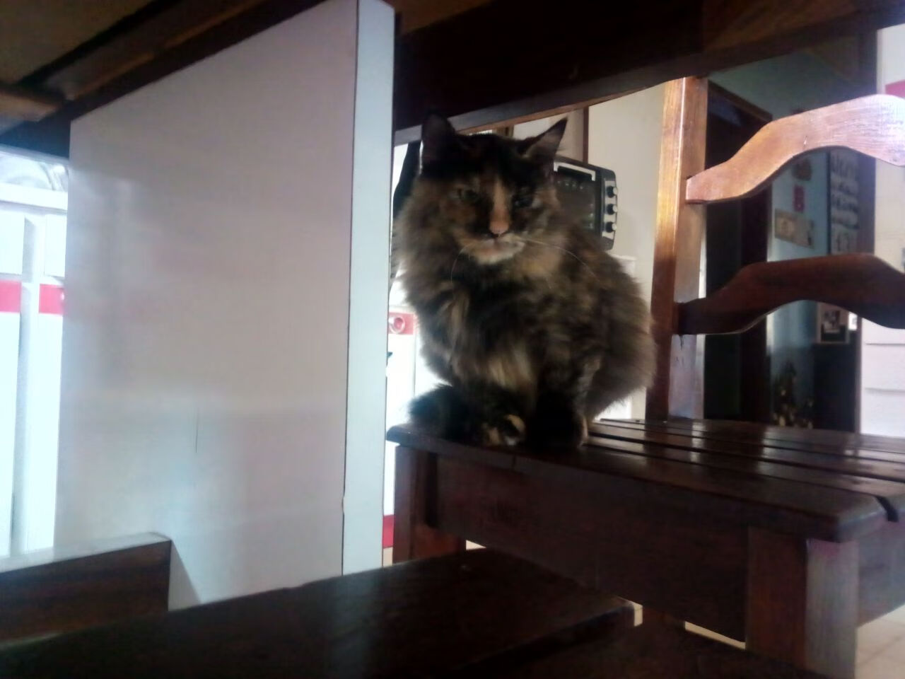 kaiyun中国官方网站-观众互动体验感提升粉丝互动体验提升，观众互动道具