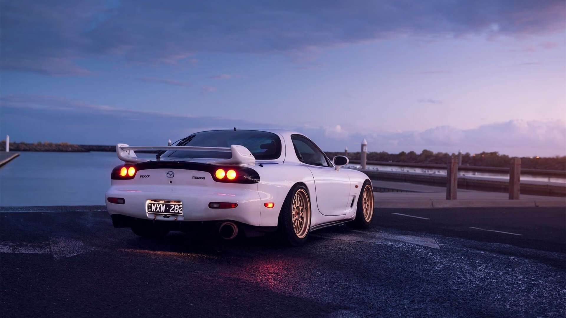 “南非羚羊队的防线之王：埃尔斯·霍斯特的崛起”