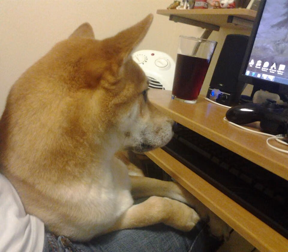 丁俊晖自评比赛心态渐趋稳定，丁俊晖评价