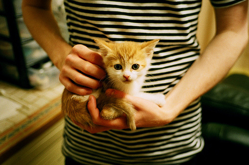 中国篮球教练高端研修班开讲提升精英人才理论与实践能力，中国篮球训练师