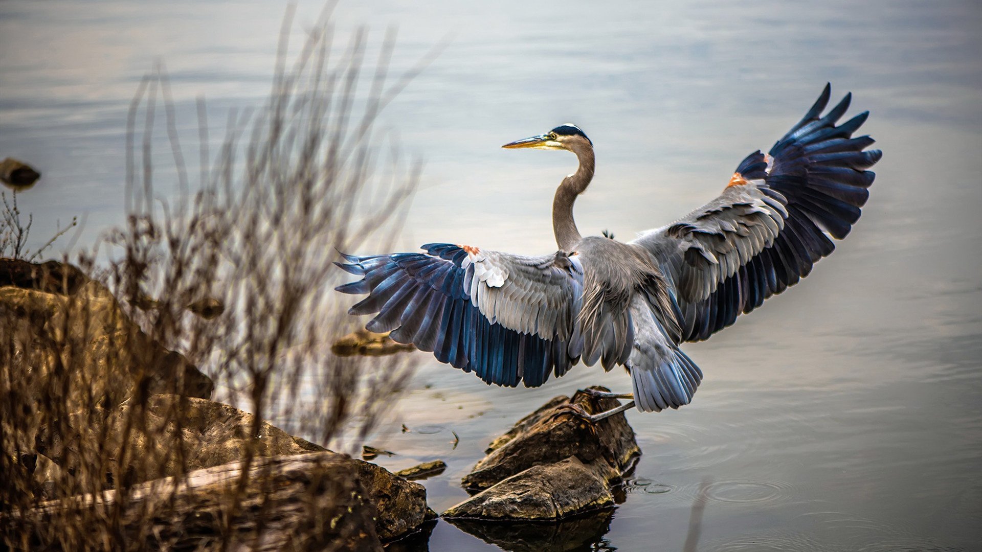 中国足球缺乏欧洲联赛球员代表呈现发展断层，中国男足欧洲