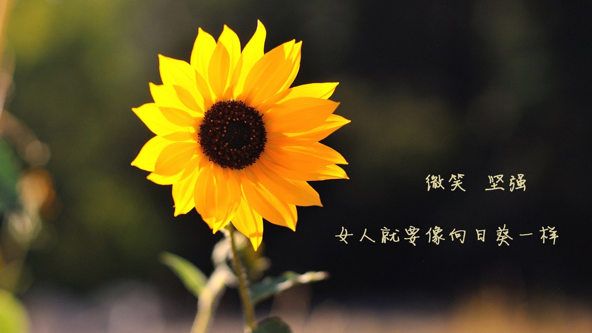 开云体育网页入口-中国足球联赛俱乐部市场竞争加剧，中国足球俱乐部价值